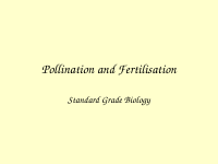 Pollination and Fertilisation (2).ppt